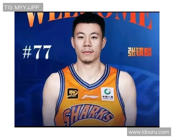 上海篮球队球员个人能力排名前十揭晓引发热议