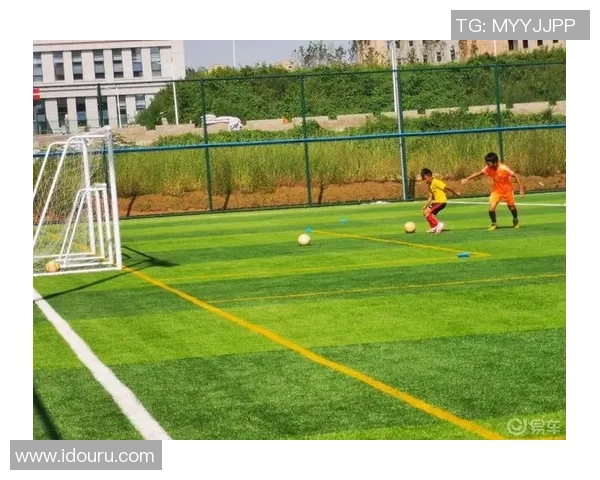 在绿茵场上挥洒汗水与激情的足球日记分享 在绿茵场上挥洒汗水与激情的足球日记分享